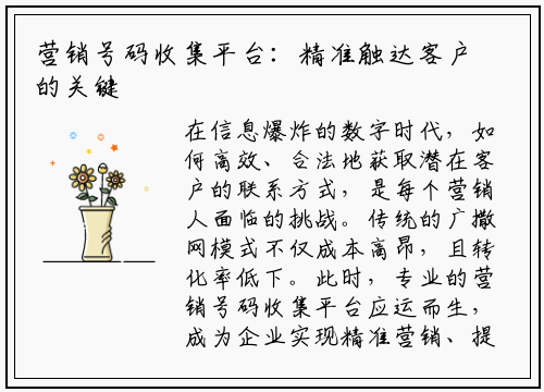 营销号码收集平台:精准触达客户的关键利器